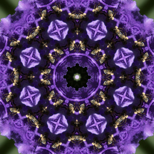 kaleidoscope Collecction